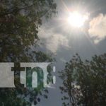 El polvo que enferma: Ojo con los riesgos ocultos de los vientos en Nicaragua Foto: Atención con enfermedades que se pueden acentuar con los fuertes vientos en Nicaragua / TN8