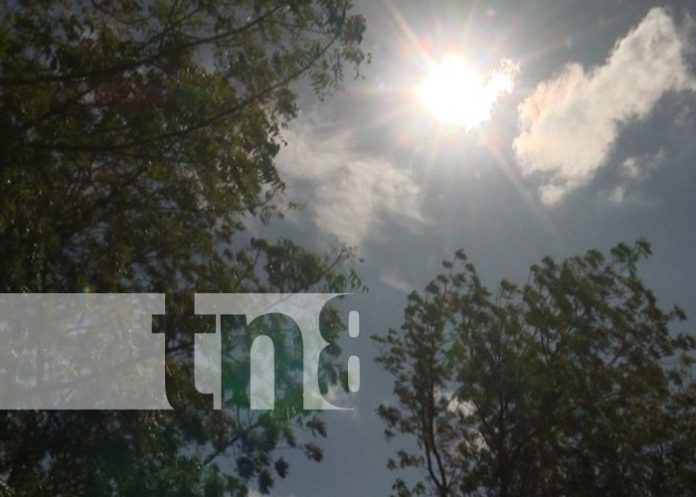 Foto: Atención con enfermedades que se pueden acentuar con los fuertes vientos en Nicaragua / TN8