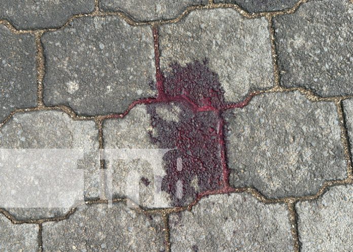 Foto: Fatal accidente de tránsito en Jalapa, Nueva Segovia / TN8