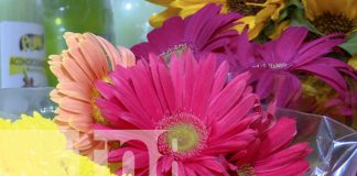 Foto: Mercado Roberto Huembes tiene flores lindas y baratas /TN8