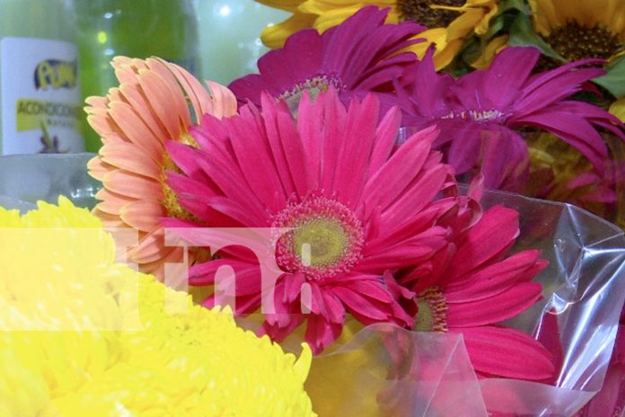 Foto: Mercado Roberto Huembes tiene flores lindas y baratas /TN8 Foto: Mercado Roberto Huembes tiene flores lindas y baratas /TN8