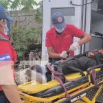 Sin decir ni pío, agarran a machetazos a un hombre en Estelí Foto: Terrible agresión a machetazos a un hombre en Estelí / TN8