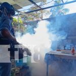 Bye zancudos: Jornadas de fumigación se intensifican en Managua Foto: Fumigación y abatización en Managua / TN8