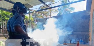 Foto: Fumigación y abatización en Managua / TN8