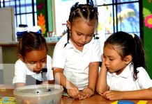 Este 2025, ¿cómo ayudar a tus hijos a aprender mejor? Te contamos las claves Foto: Claves para que los niños y niñas aprendan mejor en clases / TN8