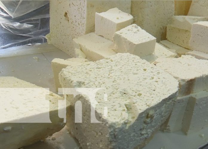 Foto: Abastecimiento de huevo y queso en mercados de Managua / TN8 Foto: Abastecimiento de huevo y queso en mercados de Managua / TN8