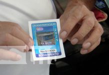 Evite multas: Adquiera su sticker de rodamiento en estos puntos de Managua Foto: Adquirí tu sticker de rodamiento en Managua / TN8