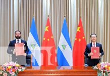 A un año del TLC China-Nicaragua: Centro de operaciones más importante en la región Foto: Análisis de Nicaragua y su avance a través del TLC con China / TN8