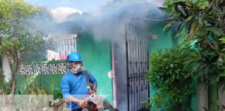 Foto: Fumigación en Villa Venezuela, Managua / TN8
