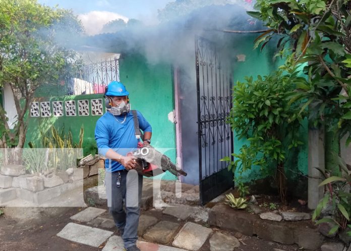 Foto: Fumigación en Villa Venezuela, Managua / TN8 Foto: Fumigación en Villa Venezuela, Managua / TN8