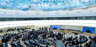 Foto: EE.UU. se retira del Consejo de Derechos Humanos de la ONU /Cortesía