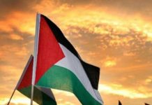 Palestina rechaza violaciones al Derecho Internacional Foto: Palestina rechaza violaciones al Derecho Internacional