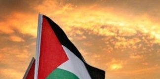 Foto: Palestina rechaza violaciones al Derecho Internacional