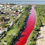 ¡De película!: Agua color sangre corre por un canal de Argentina (VIDEO) Foto: Agua color sangre fluye por un canal de Argentina /Cortesía
