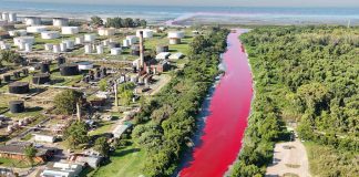Foto: Agua color sangre fluye por un canal de Argentina /Cortesía