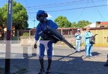 Foto: Campaña de fumigación combate el dengue en Managua /TN8