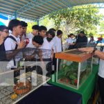 Estudiantes de Managua conocen el valor de proteger a los animales exóticos Foto: Estudiantes de Managua aprenden sobre fauna /TN8