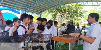 Foto: Estudiantes de Managua aprenden sobre fauna /TN8