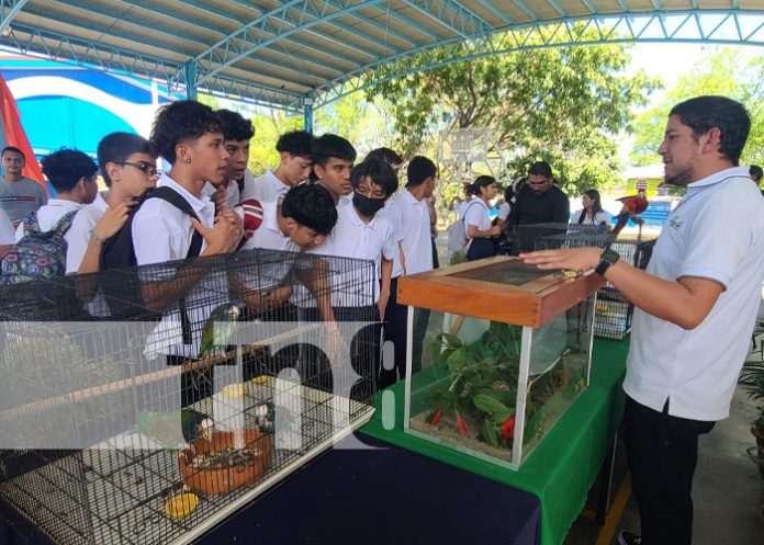 Foto: Estudiantes de Managua aprenden sobre fauna /TN8 Foto: Estudiantes de Managua aprenden sobre fauna /TN8