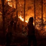 Chile declara estado de emergencia por incendios forestales en zona centro-sur