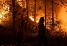 Chile declara estado de emergencia por incendios forestales en zona centro-sur