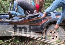 Tragedia en Quilalí: Hombre pierde la vida tras accidente de tránsito Foto: Tragedia en Quilalí: Hombre pierde la vida tras accidente de tránsito/TN8