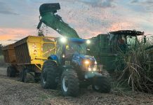 Nicaragua alcanza 6.2 millones de quintales de azúcar al 4 de febrero de 2025