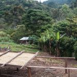 Foto: Hallazgo del cuerpo sin vida en Jinotega/Cortesía