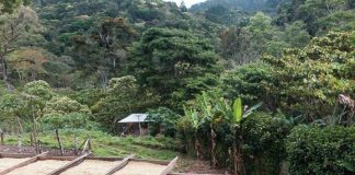Foto: Hallazgo del cuerpo sin vida en Jinotega/Cortesía