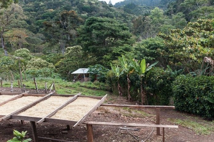 Foto: Hallazgo del cuerpo sin vida en Jinotega/Cortesía Foto: Hallazgo del cuerpo sin vida en Jinotega/Cortesía