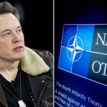 Foto: Musk cuestiona el gasto de EE.UU. en la OTAN /cortesía