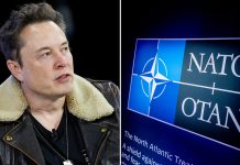 Foto: Musk cuestiona el gasto de EE.UU. en la OTAN /cortesía