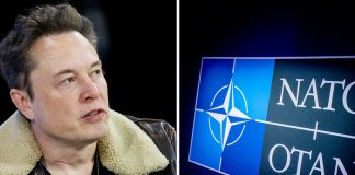Foto: Musk cuestiona el gasto de EE.UU. en la OTAN /cortesía