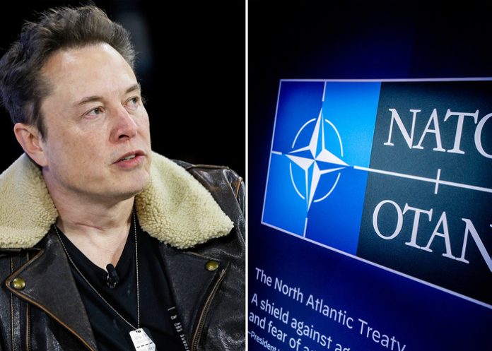Foto: Musk cuestiona el gasto de EE.UU. en la OTAN /cortesía Foto: Musk cuestiona el gasto de EE.UU. en la OTAN /cortesía