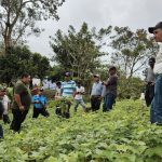 INTA promueve la agricultura sostenible en Jinotega con capacitaciones Foto: INTA llevó a cabo una exitosa presentación en la comunidad Santa Lucía/Cortesía
