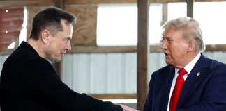 Foto: 14 estados demandan al DOGE, Trump y Musk /Cortesía