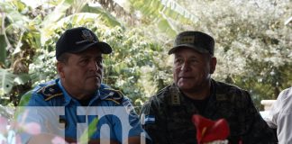 Foto: Ejército de Nicaragua refuerza seguridad en fincas cafetaleras de Madriz/TN8
