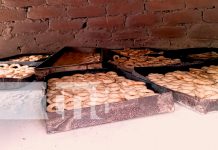Foto: Mujeres emprendedoras transforman el maíz en delicias tradicionales en Nandaime/TN8