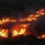 Feroces incendios en Argentina dejan un muerto y más de mil evacuados Foto: Incendios en Argentina  /cortesía