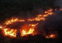 Feroces incendios en Argentina dejan un muerto y más de mil evacuados Foto: Incendios en Argentina /cortesía