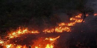 Foto: Incendios en Argentina  /cortesía