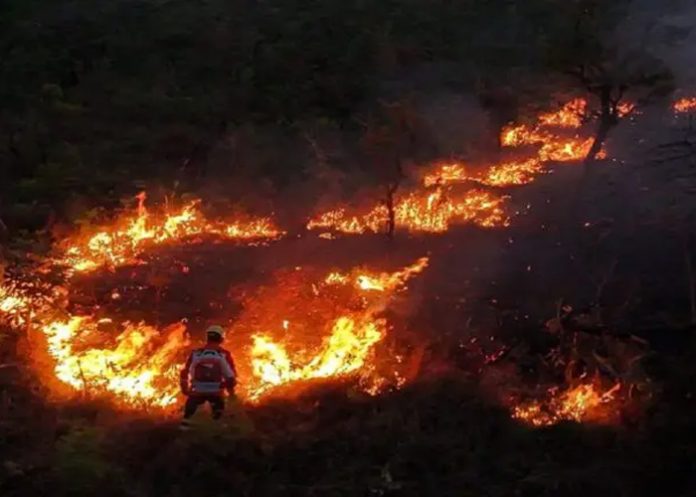 Foto: Incendios en Argentina  /cortesía