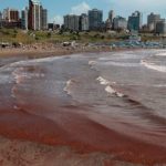 ¿Por qué el mar se volvió rojo en las playas de Argentina? Aquí te lo explicamos Foto: ¿Por qué el mar se volvió rojo en las playas argentinas? Aquí te lo explicamos/Cortesía