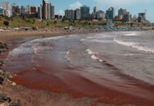 ¿Por qué el mar se volvió rojo en las playas de Argentina? Aquí te lo explicamos Foto: ¿Por qué el mar se volvió rojo en las playas argentinas? Aquí te lo explicamos/Cortesía