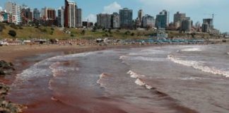 Foto: ¿Por qué el mar se volvió rojo en las playas argentinas? Aquí te lo explicamos/Cortesía