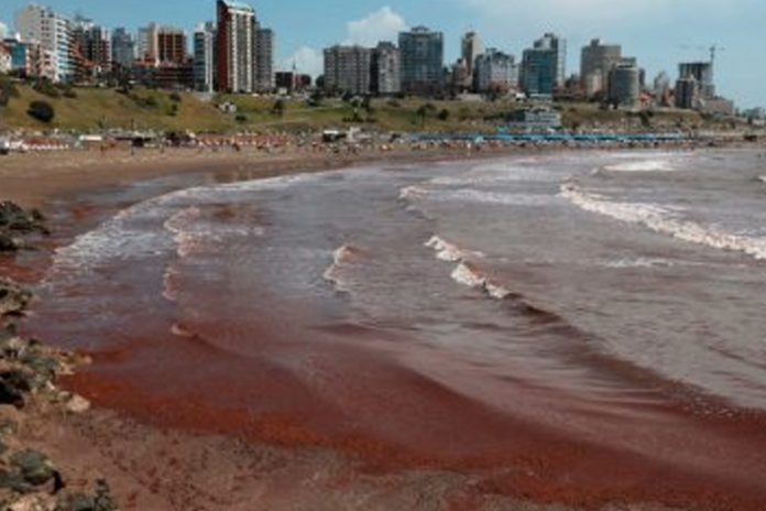 1 Foto: ¿Por qué el mar se volvió rojo en las playas argentinas? Aquí te lo explicamos/Cortesía