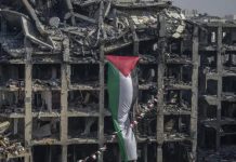 Foto: Genocidio en Gaza /cortesía