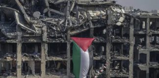 Foto: Genocidio en Gaza /cortesía
