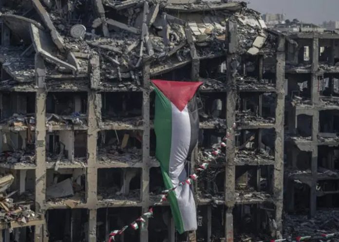 Foto: Genocidio en Gaza /cortesía Foto: Genocidio en Gaza /cortesía