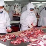 Producción de carne bovina en Nicaragua supera los 33 millones de libras Foto: Producción de carne bovina en Nicaragua supera los 33 millones de libras / Cortesía